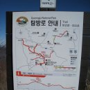 삼태다원 | 호미기맥4구간(석굴암주차장~추령~함월산~성황재)