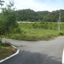 부동농장 이미지