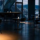 와일드인터내셔널 이미지