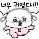 다다홈케어 이미지