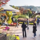 대학뮤직랜드 이미지