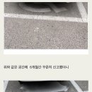 H1635 이미지