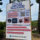 경안천습지생태공원 | 경기도 광주 경안천 습지생태공원 나들이