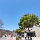 섬강레저