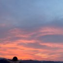 콩이네 민박 이미지