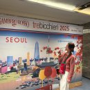 와인21주관 앰버서더 풀만 감베로로쏘 트레비키에리 2025 와인시음회 후기