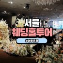 서울 강남 역삼, 선릉 웨딩홀 상록아트홀, 메종드아나하, 르비르모어 암행투어