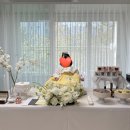 테이블푸드 | [내돈내산] 집에서 한 백일상 후기, 테이블베이지, 은하수케이크, 쎄쎄쎄 푸드빌리지.