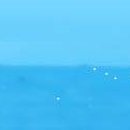 덕수여인숙 이미지