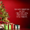 경희대 다산 태권도 이미지