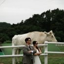 푸마농장 | [공지] [W.01] 강릉웨딩스냅후기•드레스•부케•헤어메이크업•촬영소품 정보