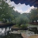 오션564