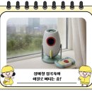 폴짝폴짝 콩콩 신나는 그림책놀이 | 장마철 집콕육아 필수템｜19개월 아기와 핀덴 그림자동화 실내 홈캉스