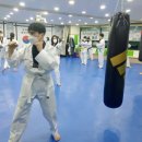김재훈태권도장 이미지