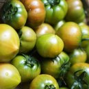 토마토 중에 젤 맛있는 대저 짭잘이 토마토 1.2kg 8천원대야! 이미지