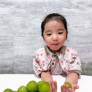 농부맘마트 | 프레시마트 제철과일 당도 높은 백화점 납품 샤인머스켓 후기