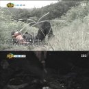 정글의법칙 - 아산시 신정로 434 | 정글의법칙
