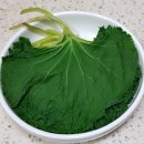 산나물천국님- 봄 입맛 살리는 머위잎 50% 맛보기 후기 이미지