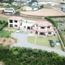 제주무릉도원집 이미지