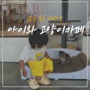 광주고양이가정분양비비냥 | 광주 아이랑 갈만한 곳, 냄새 없이 쾌적한 고양이 카페 비비냥 (4살 아기랑)