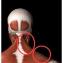 알엠 피트니스 이미지