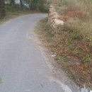 대지부동산공인중개사사무소 이미지