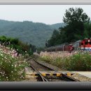 내성초등학교 이미지