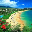 해외여행 할인! 하와이 여행 정보 TIP! 이미지