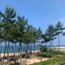죽도물양장 | 해파랑유기(遊記) – 속초편 46-2코스 (결혼기념일에)