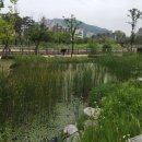 방현어린이공원 | 청계산 수변공원 - 서초 서리풀물놀이장 운영(7월 12일부터 8월 25일까지!)