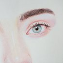 색연필화 이미지