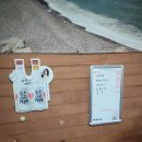 모래실해물촌