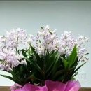 사랑으로 이미지