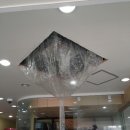 연향동물병원 이미지