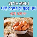 만수양계장 이미지