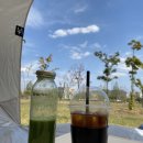 프루체(fruchte)