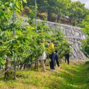 지리산황금농장 이미지