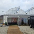 이기산농장 | 화성시 딸기농장 cctv설치