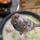 가마솥순대국밥 강변역점 | 당진 국밥 1등 맛집 '가마솥 순대국밥' 내돈내산 후기 ft. 기지시 국밥맛집