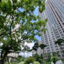 연제사우나 이미지