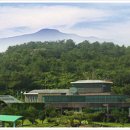 감귤박물관 이미지