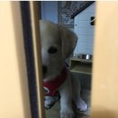 절미하우스