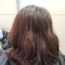 르미헤어 이미지