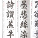 프롭테라피&밴드운동 이미지