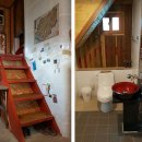 도시고양이생존연구소 이미지