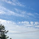 더 설렘 온수수영장펜션 이미지