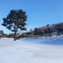 수골프 이미지
