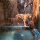 김해동물약국 이미지