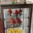 (단기) 카페 메뉴 디저트 | [부평 평리단길 카페] 유로 메뉴 및 솔직후기 &amp; 에키노마에