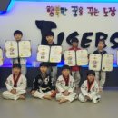 합기도 호랑이들 이미지